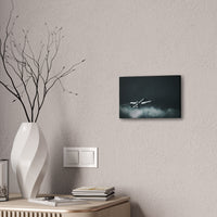 Warthog Canvas